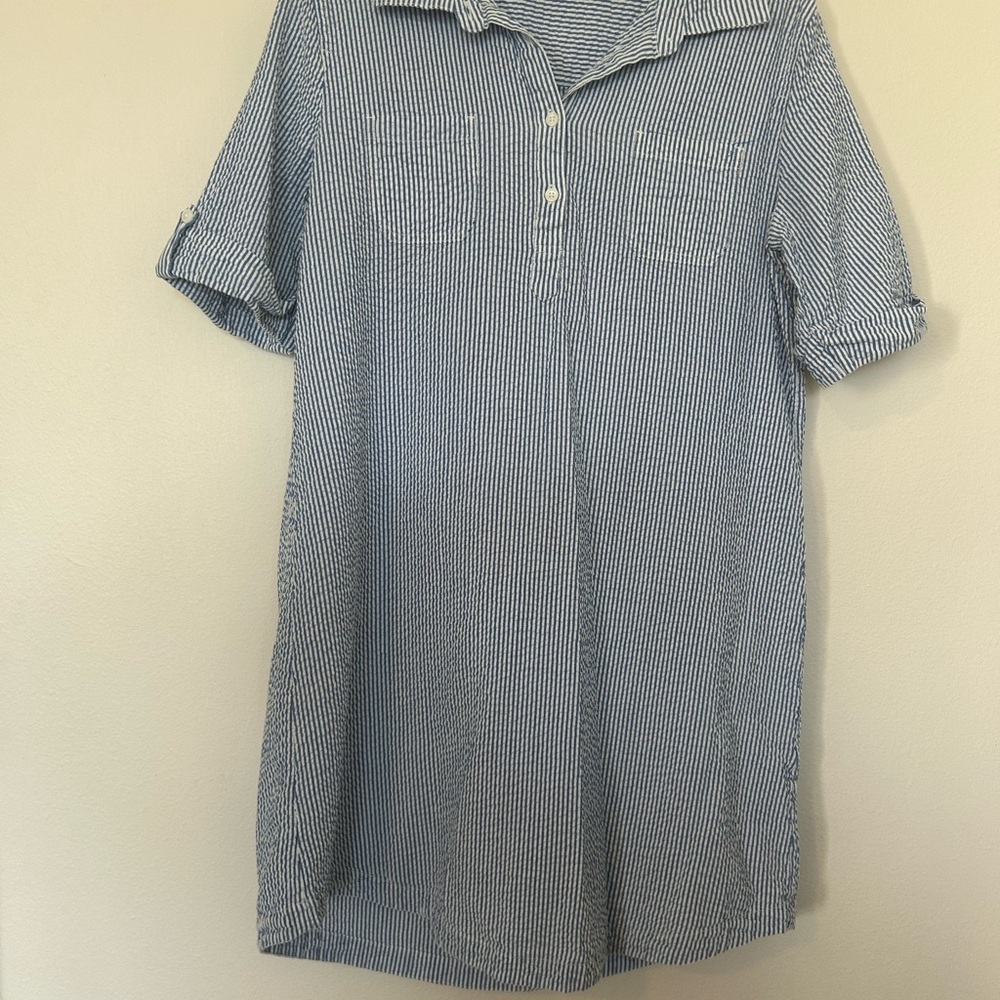 Karen Scott Blue and White Striped Dress